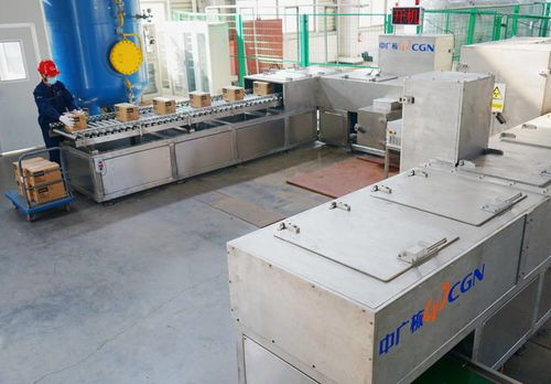 電子束技術(shù)在冷鏈?zhǔn)称吠獍b新冠病毒滅活項(xiàng)目中的突破性成果通過專家評審